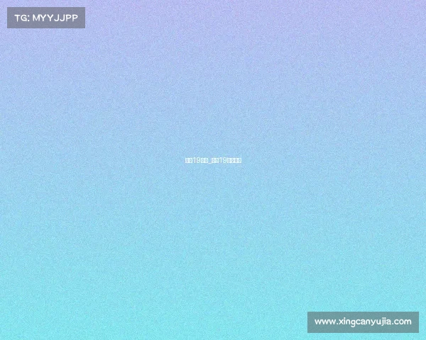 申花19赛事_申花19赛季名单